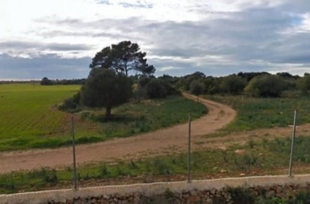 Large 150,000 M2 Plot In A Rustic Area..
