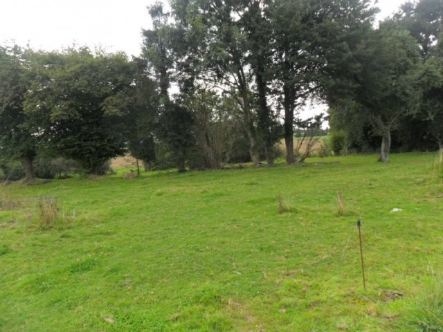 Country House, Outbuilding, 1 Hectare - 2