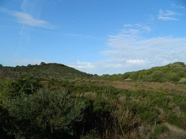 terreno vicino Arzachena