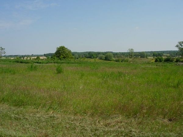 3 Bedroom House With 1/3 Acre - 2