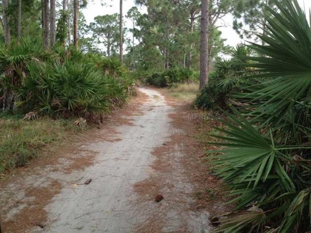 Land For Sale: 4051 Marianne Key Rd.. - 2