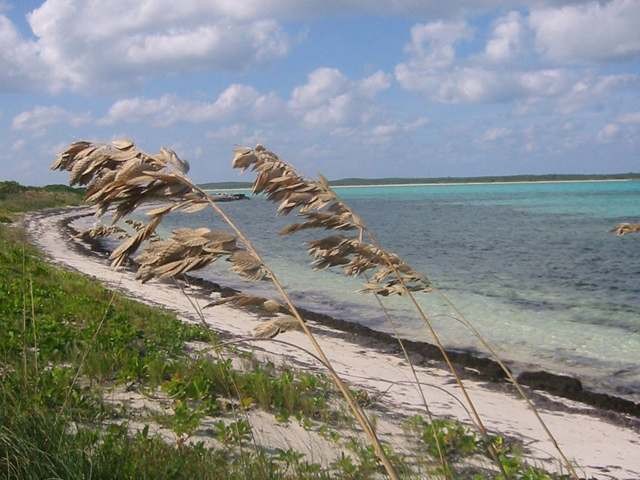 Private Island - High Cay is a peaceful.. - 2