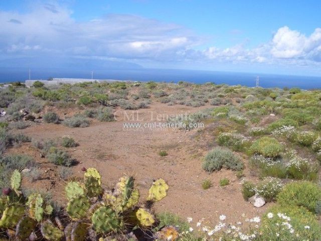Plot in Guia De Isora - 2