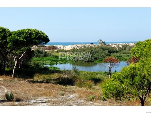 Plot for construction for nature lovers.. - 2