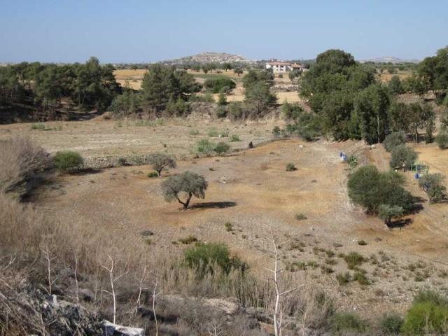 Larnaca