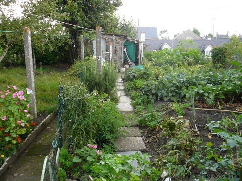 Two Houses in Village Location - 2