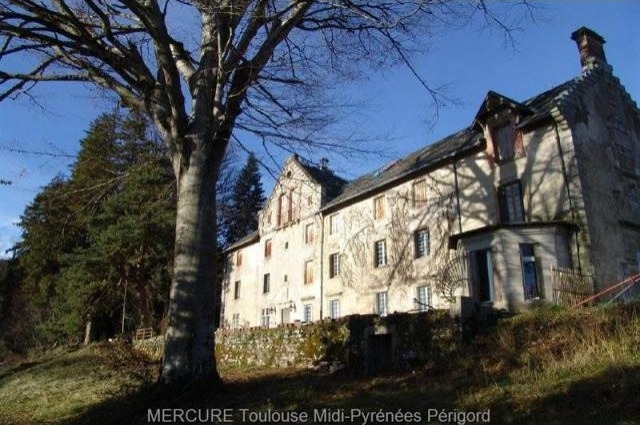 8 bedroom Castle For Sale: 81000 TARN - 2