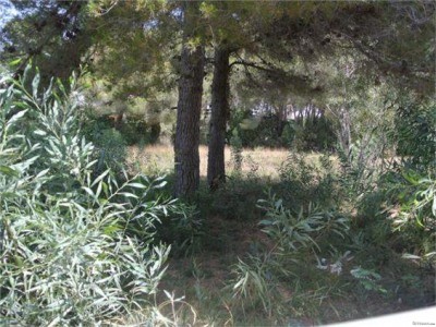 Ref.425 Terreno-PR. PARCELA, DENIA