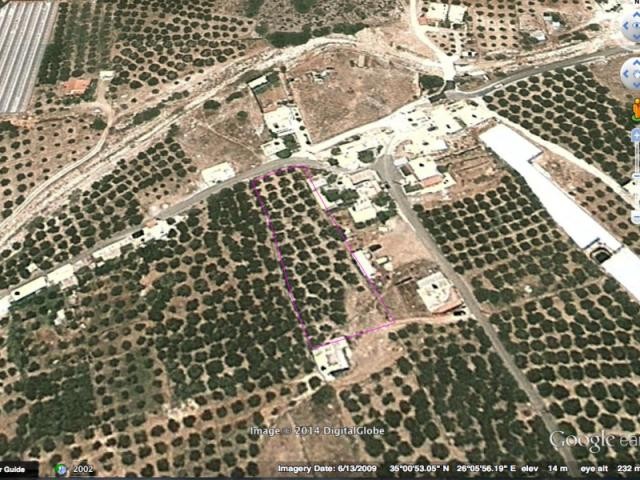 B373 - Land parcel of 2600 sq.m. in.. - 2