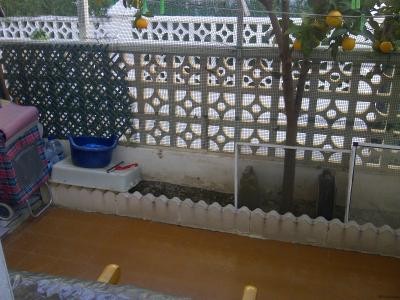Apartment, Torrelamata Price €61000 - 2