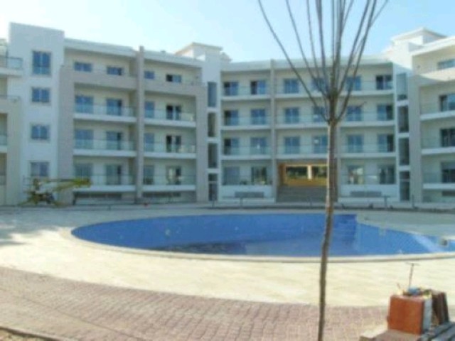 Flat T1