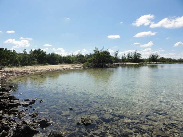 Singlefamilyvacant - Single family..