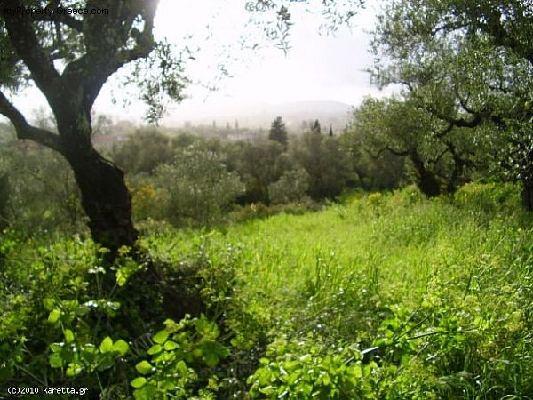 Land - Zakynthos - For Sale - 2