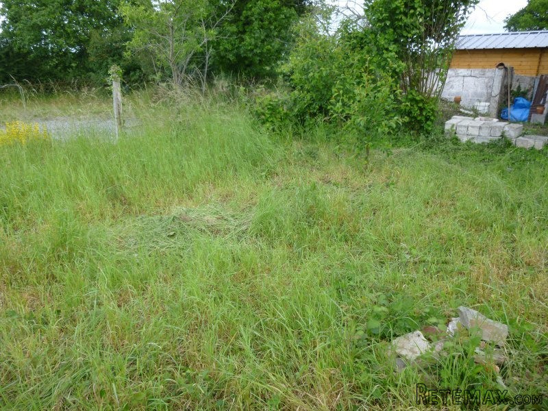 Recently Renovated Village House - 2