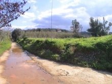 Wonderful Rural Setting: Building Plot.. - 2