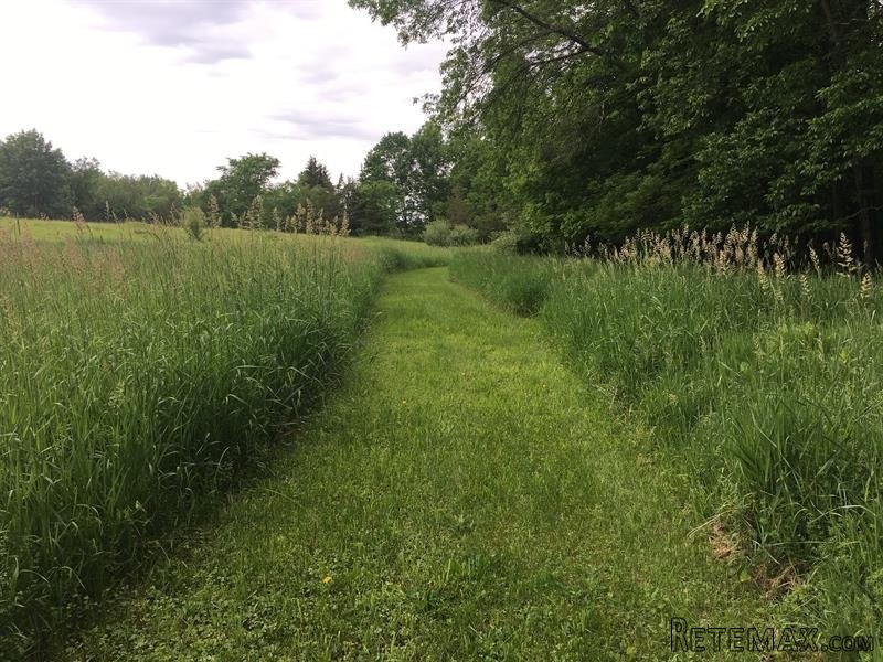 Land For Sale: 376 Cold Spring Rd.. - 2
