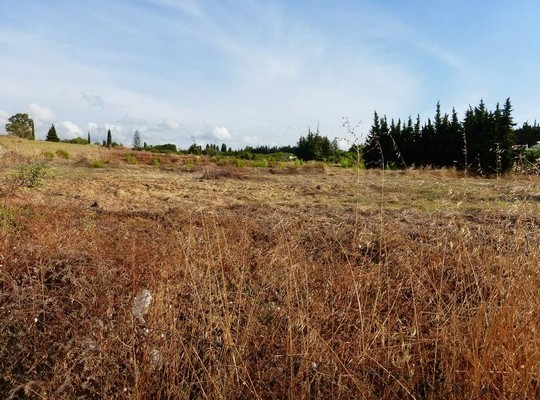 Building Plot for sale in Estepona..