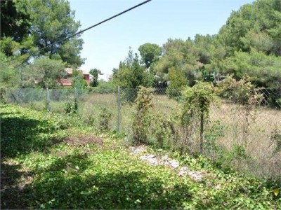 Ref.425 Terreno-PR. PARCELA, DENIA - 2