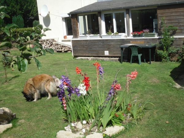 2 Bed Detached Breton Property - 2