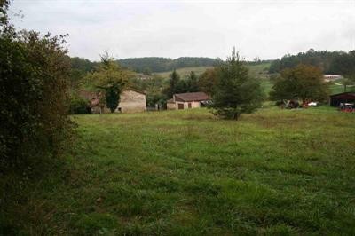 Eyvirat (24460)