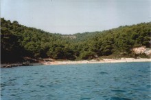 Real Estate Alonissos Greece