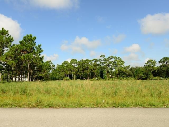 Land For Sale: Jupiter, Florida
