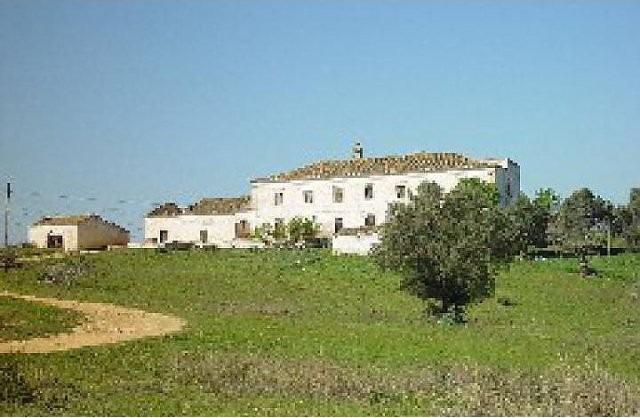Land - Old Manor House in ruins. - 2