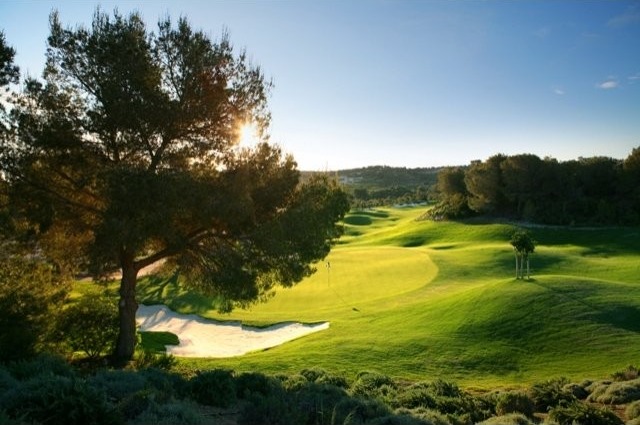 Plots for sale in Campoamor