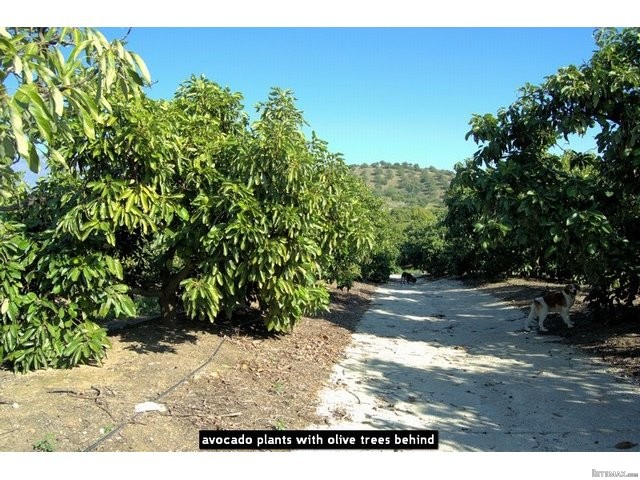 Villa for sale in Mijas Costa, Mijas.. - 2