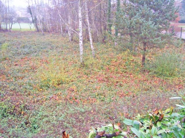 Building Plot Close To A Small Town In..