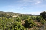 4 Bedrooms - Land - For Sale