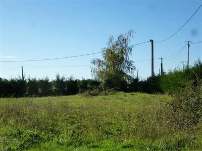 Site - 2