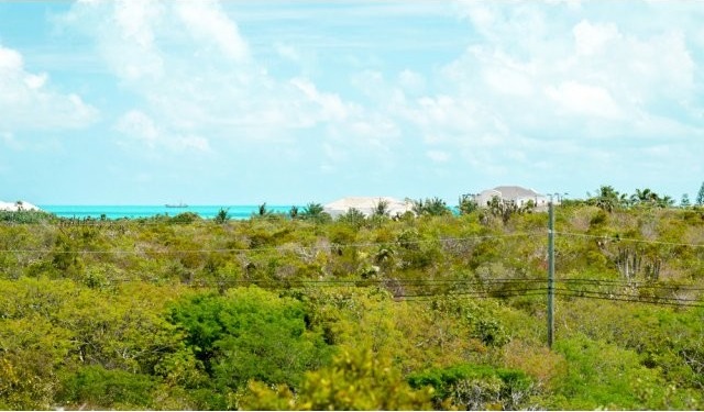 Flamingo Road - Long Bay -..