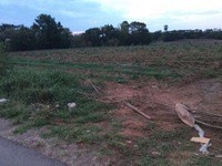 Land For Sale Amphoe Sikhiu Nakhon.. - 2