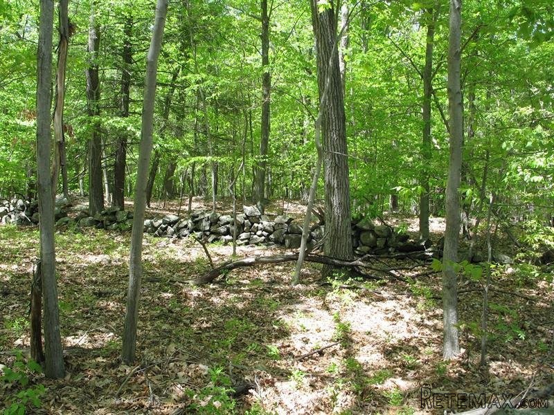 Land For Sale: 153 Shindagen Hill Road.. - 2
