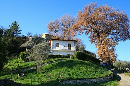 Beautiful house with a large plot of..