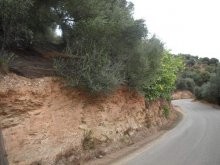 West Crete Properties - 2