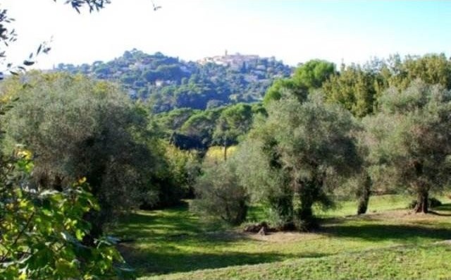 Mougins French Riviera, 06250
