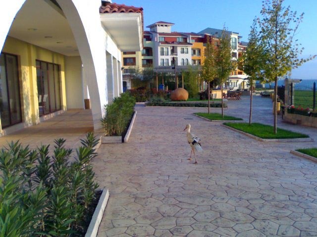 Apartment in Bourgas - 2