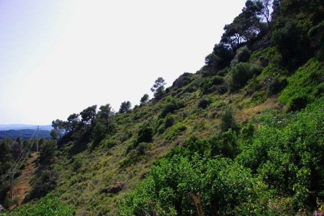 Plot for sale in Aiguablava, Begur - 2