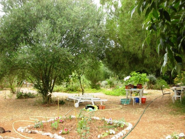10 Bedrooms - Finca - Islas Baleares -.. - 2