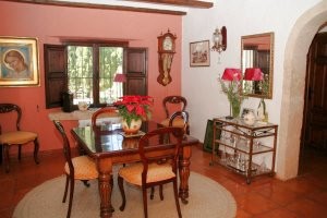 Finca in Jesus Pobre - 2