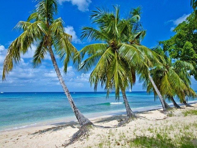 11 Bedroom - Apartment - Saint James -..