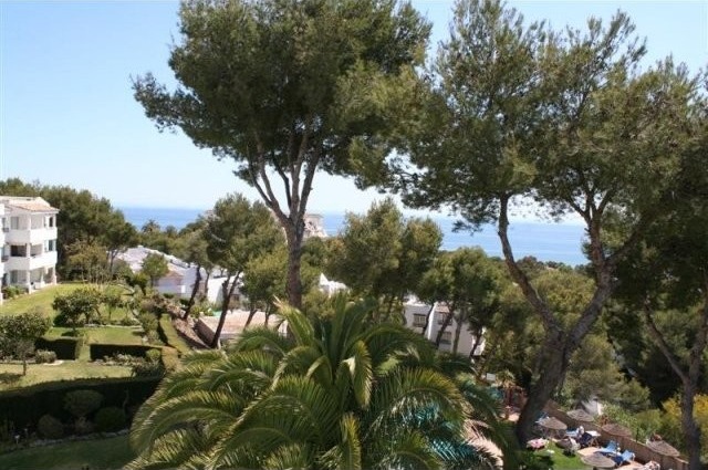 Apartment - Wonderful apartment with..