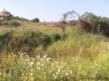 Plot With Lots Of Development Potential..