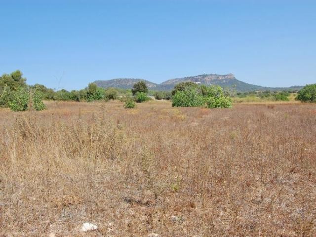Rustic land with building license in.. - 2