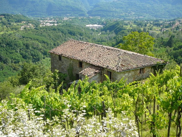 Country/farmhouse - For Sale -.. - 2