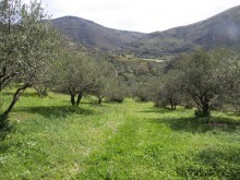 Big Land For Sale In Crete
