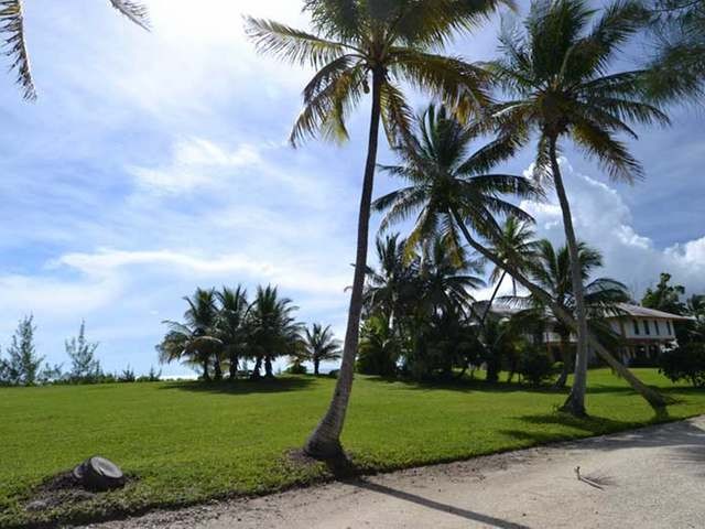 Singlefamilyvacant - This vacant lot in..