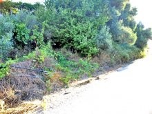 Property In Western Crete For Sale - 2